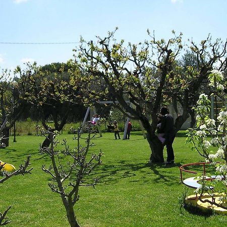 Agriturismo Arangea Lequile Екстериор снимка