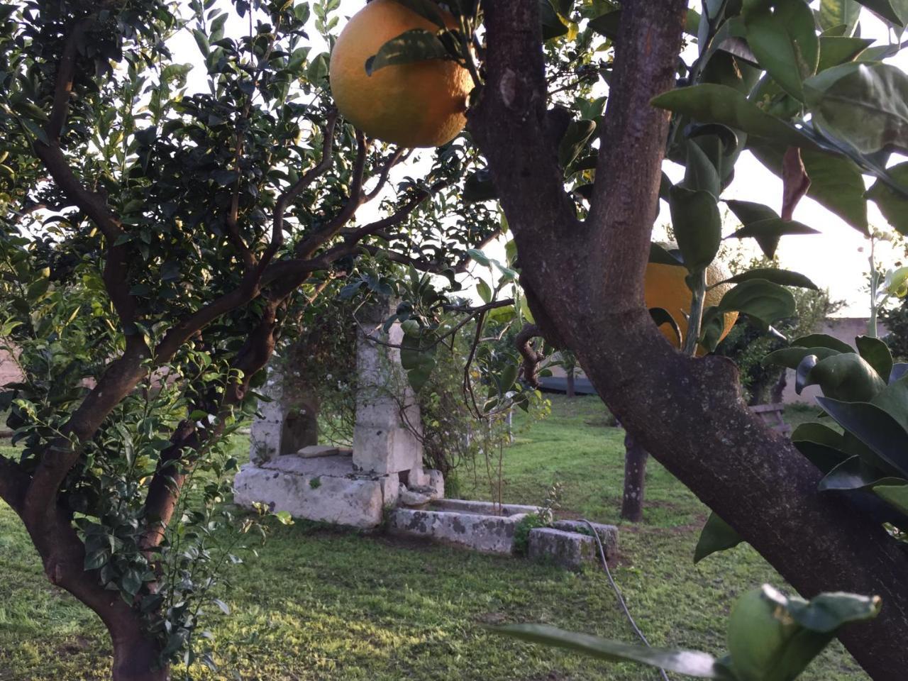 Agriturismo Arangea Lequile Екстериор снимка